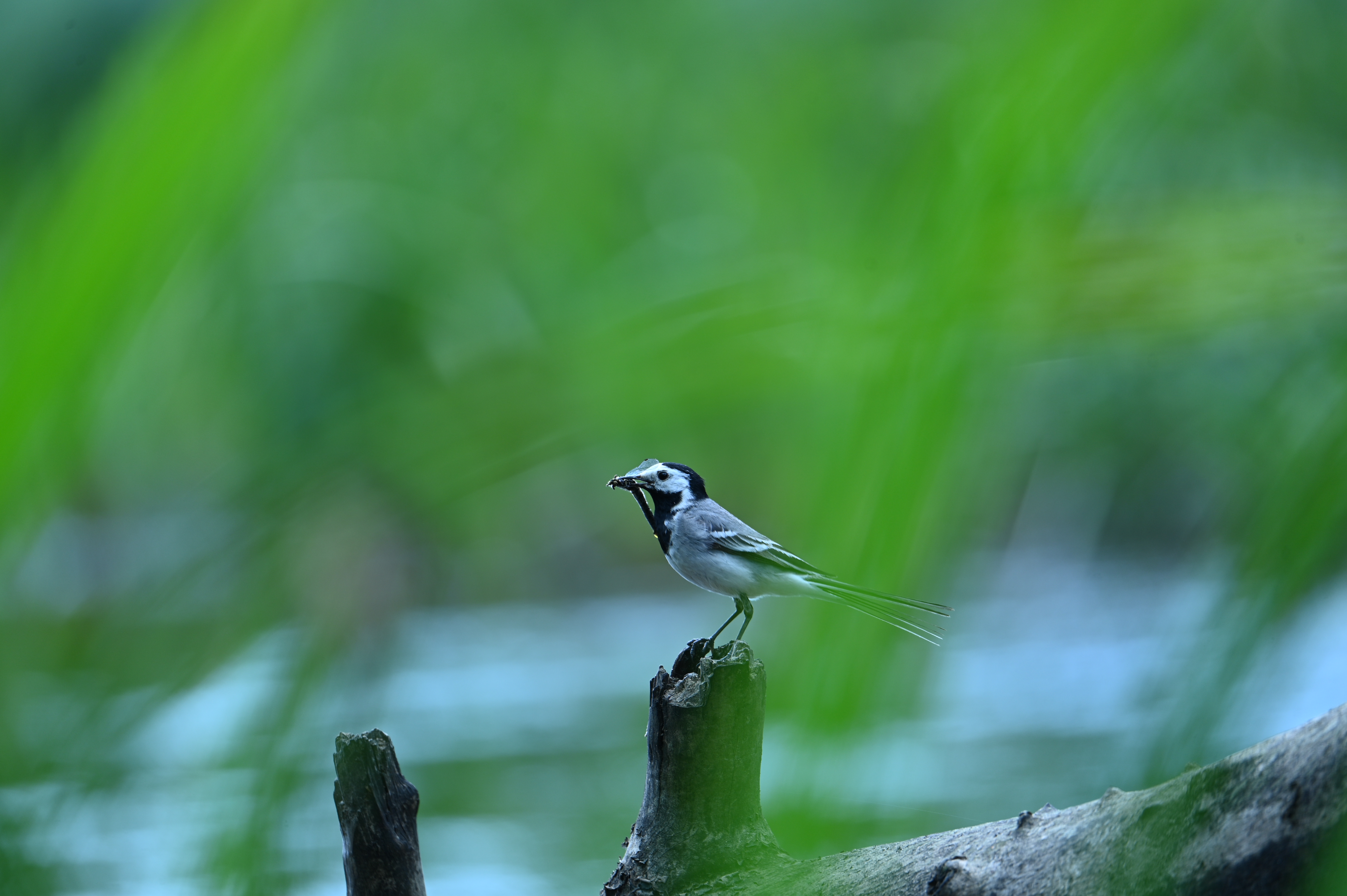 2025/07/09-14 - trip/DSC_0438.JPG